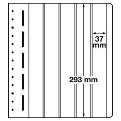 Leuchtturm 328195 hojas en blanco-LB, 5 divisiones, 37 x293 mm Leuchtturm 328195 hojas en blanco-LB, 5 divisiones, 37 x293 mm