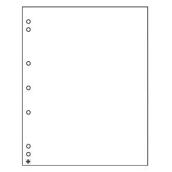 Leuchtturm 336293 Hojas separadoras NUMIS, blanca, paquete de 10