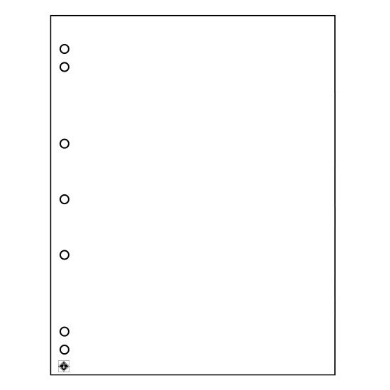 Leuchtturm 336293 Hojas separadoras NUMIS, blanca, paquete de 10