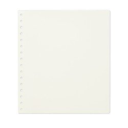 Leuchtturm 338570 KABE Hojas de álbum neutras de cartulina extra fuerte sin preimpresión Leuchtturm 338570 KABE Hojas de álbum neutras de cartulina extra fuerte sin preimpresión