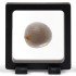 Leuchtturm 350475 Marco flotante MAGIC FRAME 70