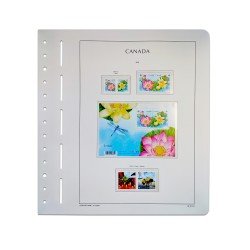 Leuchtturm 361035 Suplemento-SF Canadá Quarterly Packs 2018 Leuchtturm 361035 Suplemento-SF Canadá Quarterly Packs 2018